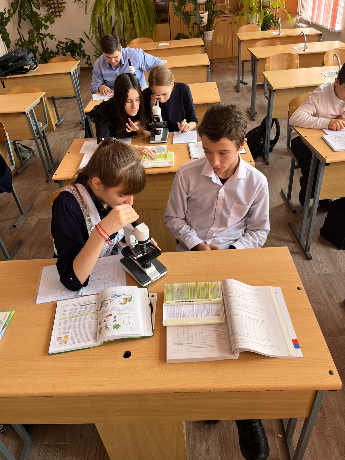 Изображение 15